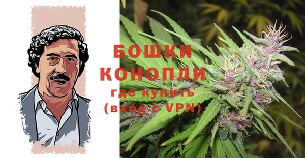 spice Беломорск